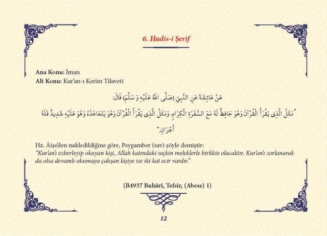 Sayfa 11