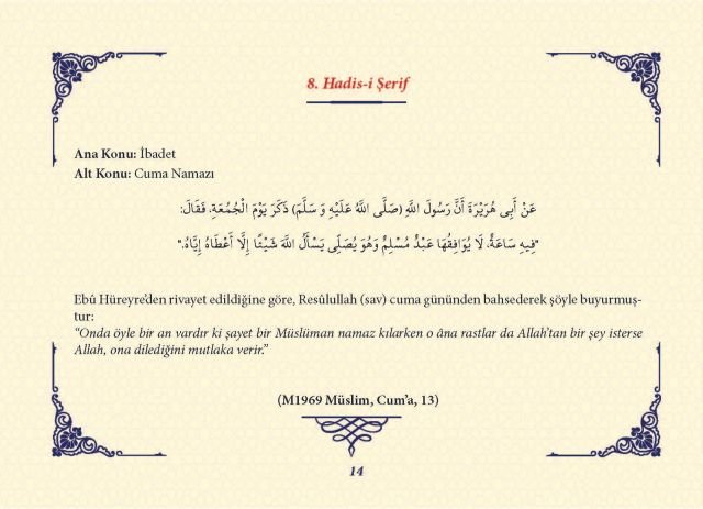 Sayfa 13