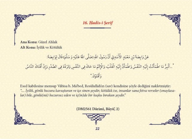 Sayfa 21