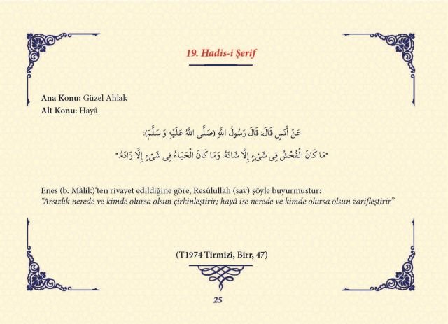 Sayfa 24