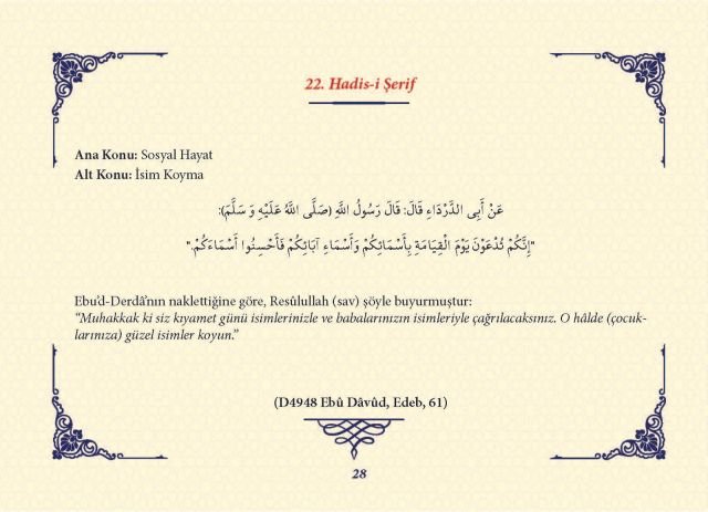 Sayfa 27