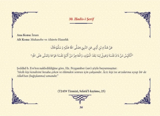 Sayfa 35