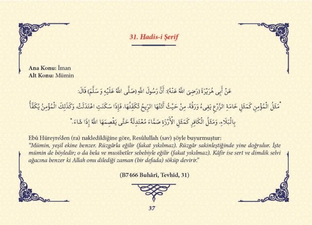 Sayfa 36