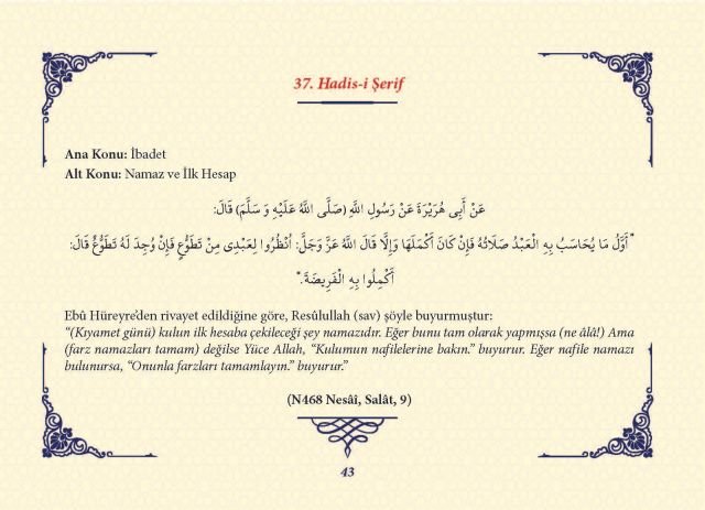 Sayfa 42