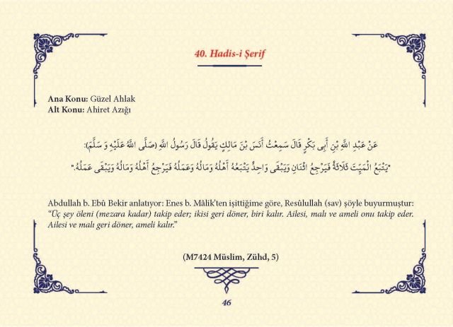Sayfa 45