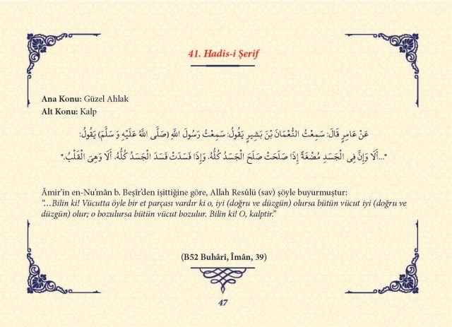 Sayfa 46
