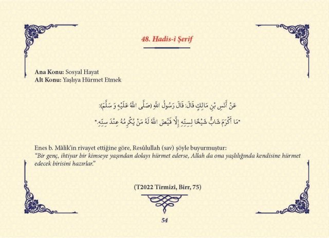 Sayfa 53