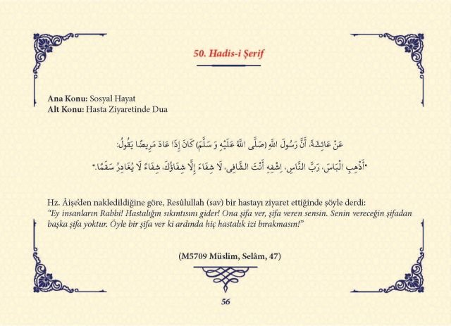 Sayfa 55
