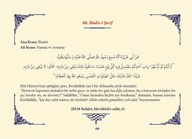 Sayfa 65
