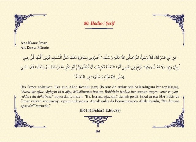 Sayfa 85