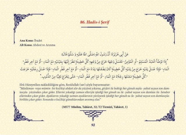 Sayfa 91